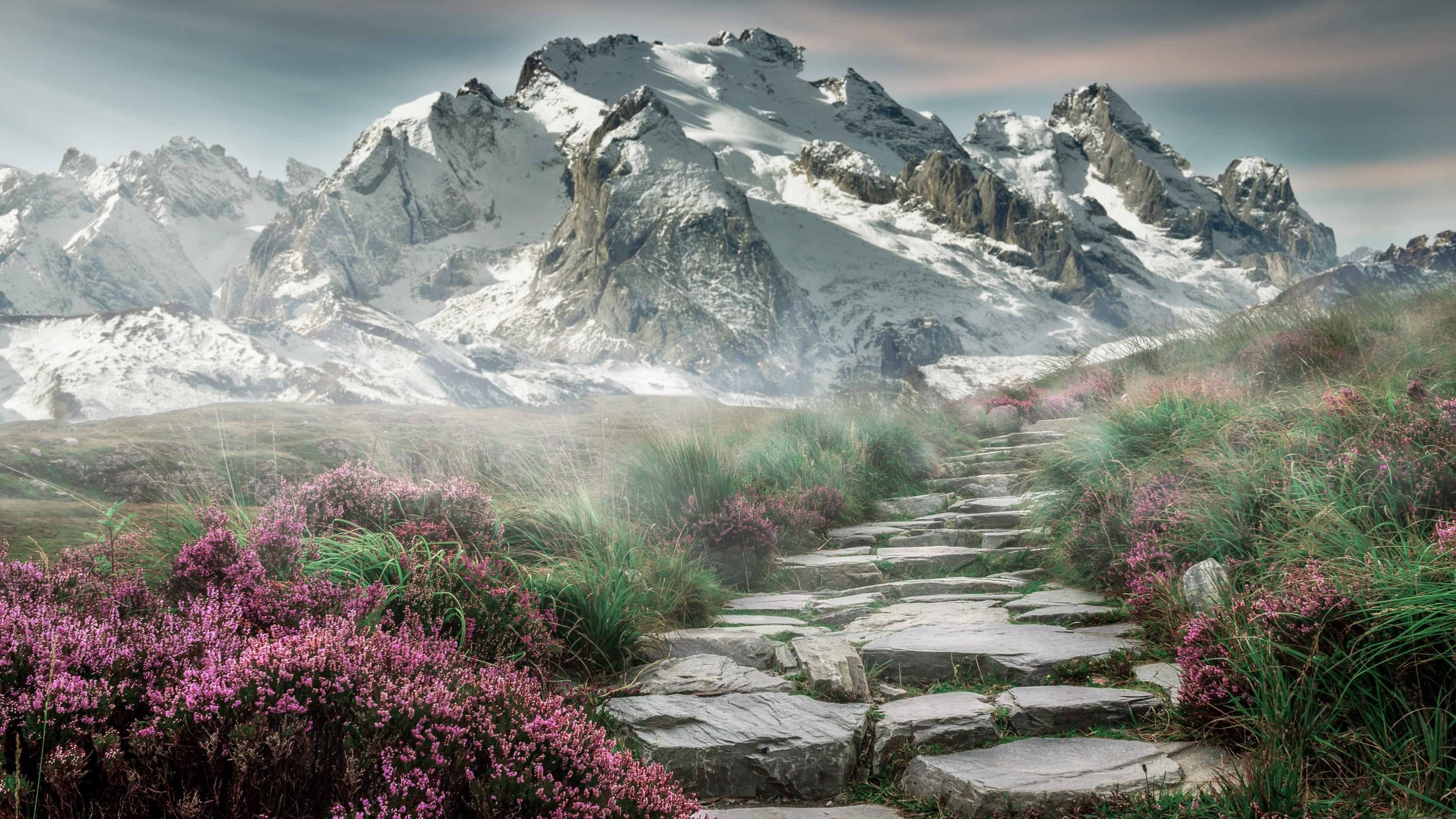 绿茵场与乒乓台的交响—当法国绝杀韩国遇见王皓的弧圈