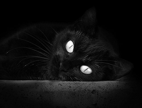 跨越维度的轻取,当团队风暴遭遇孤星闪耀