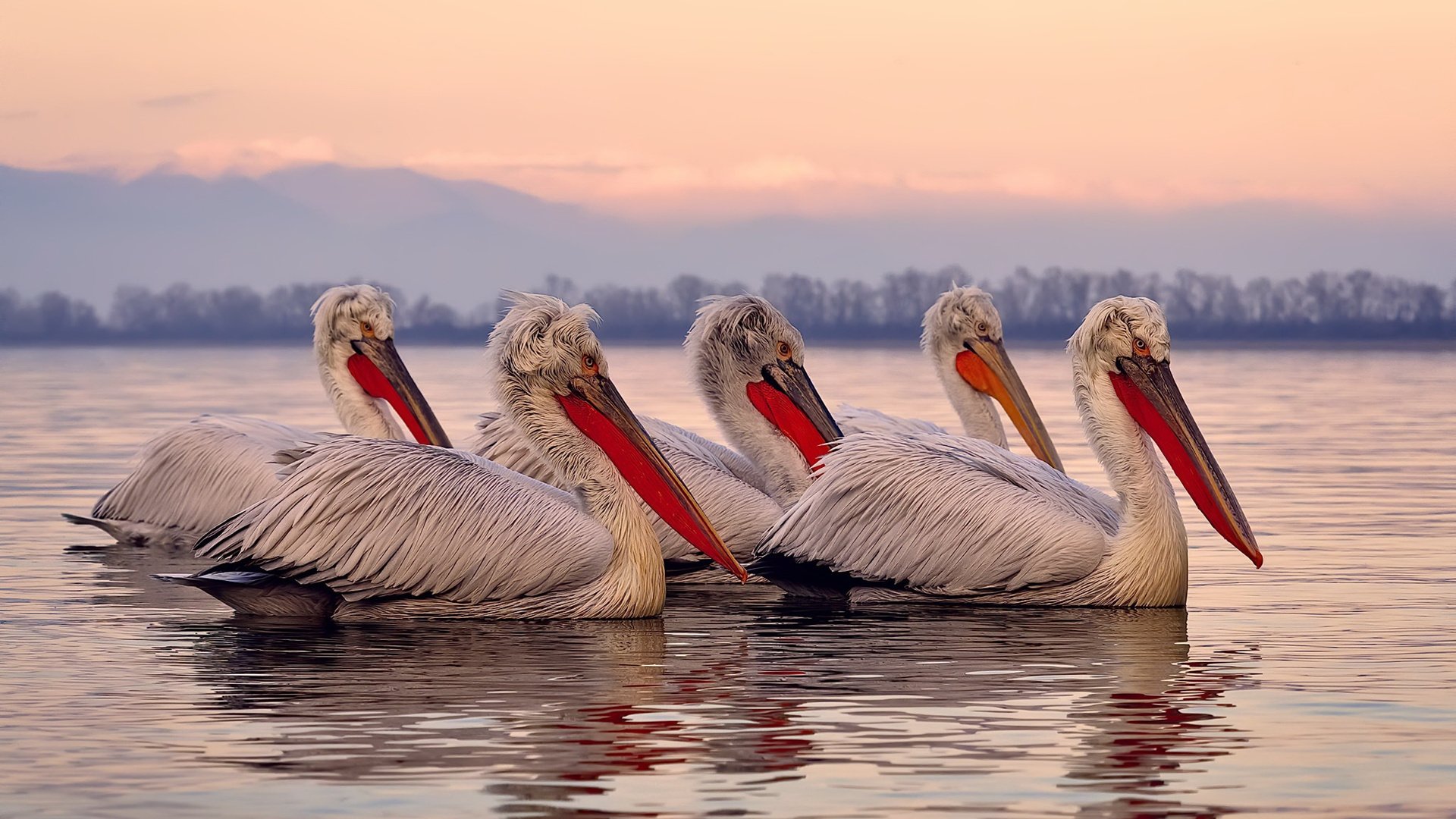 漆黑之神，那个让所有战术板空白的恩佐之夜