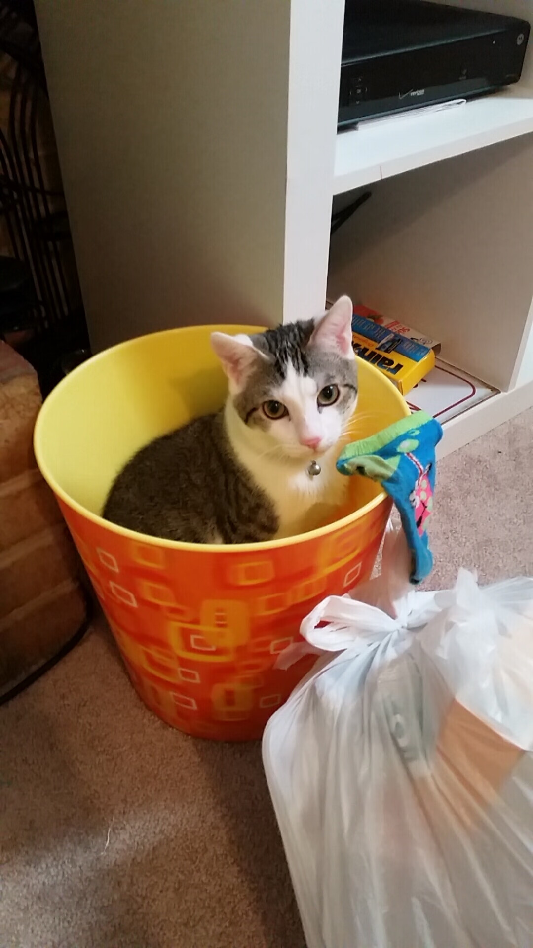 圣安东尼奥的休止符,马克西如何以一人之力终结爵士与马刺的鏖战