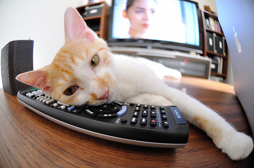 爱游戏下载-从意外先生到关键先生，克瓦拉茨赫利亚的魔法，如何让马赛稳稳啃下尼斯这块硬骨头？