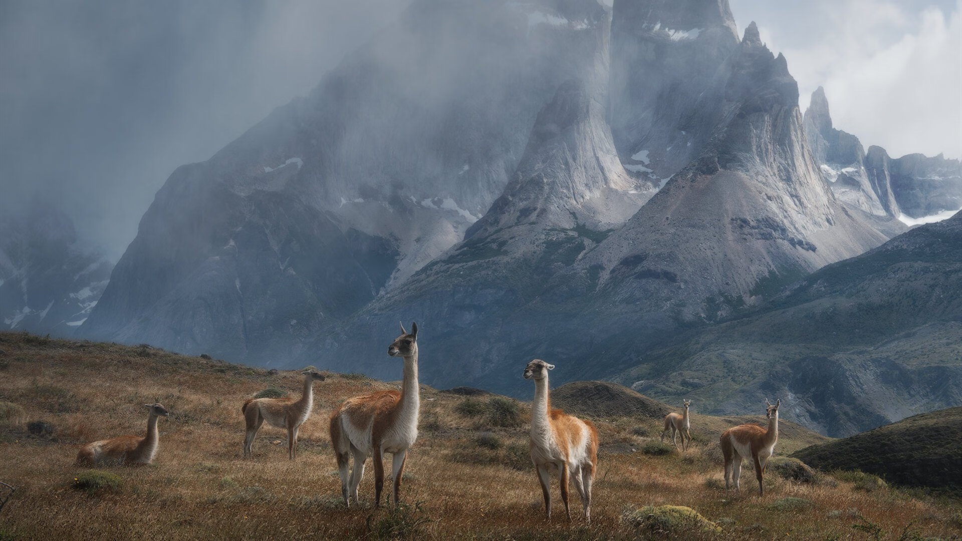 爱游戏官方入口-孤胆时刻，当全世界屏息，唯有他走向风暴