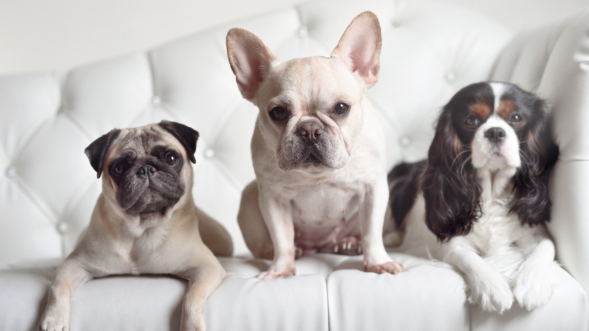 雷恩不是比赛地，却成为胜利的一部分，京多安引爆的土耳其狂欢夜