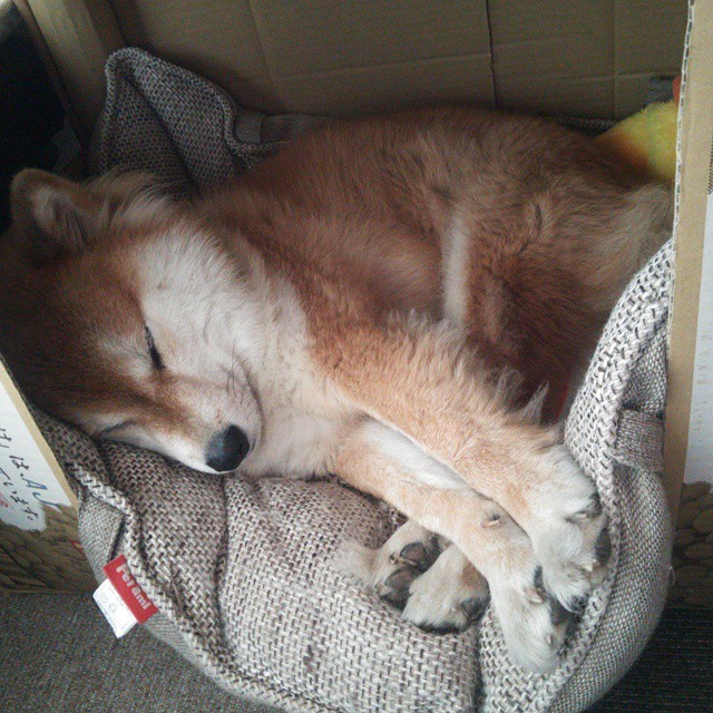 阿兹特克的月亮，2026年世界杯之夜与保罗的永恒独白