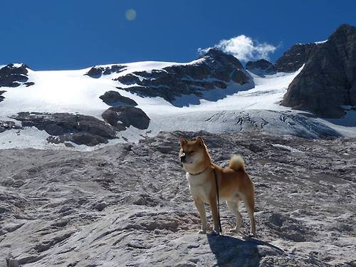 从重压到碾压，金玟哉的救赎之夜如何让摩纳哥击碎丹麦童话