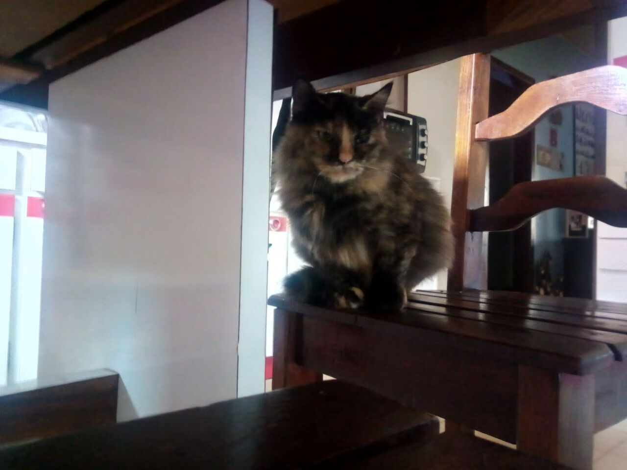 临界点，赛道上的刹车与球场上的统治