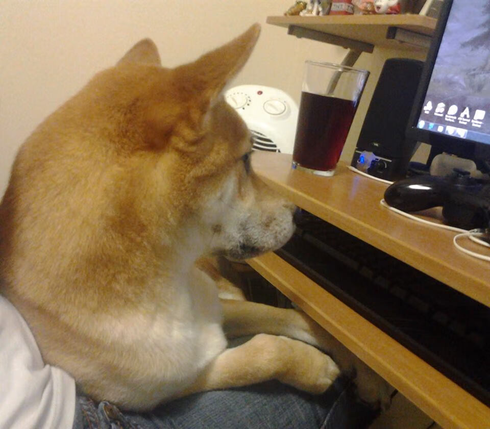 独舞，罗德里如何为全队注入灵魂，助拉齐奥斩落厄瓜多尔