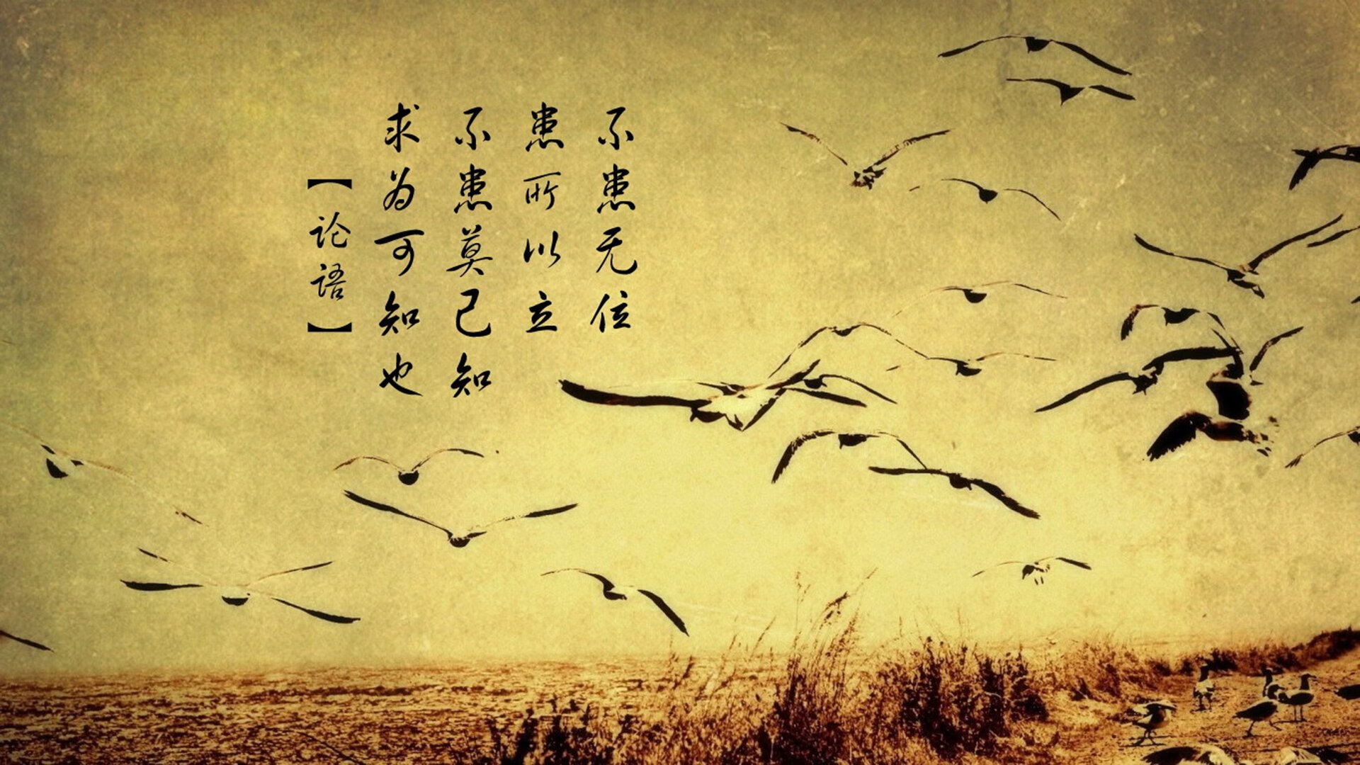 争议与荣耀，格纳布里助厄瓜多尔淘汰南非，国际足联紧急介入调查唯一参赛资格