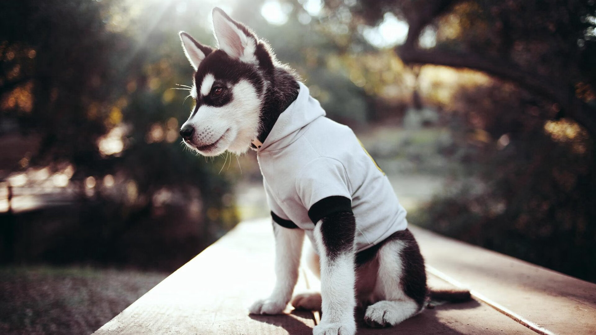 当团队体系遇见绝对天赋，从老鹰压制掘金到伦纳德抢七封神