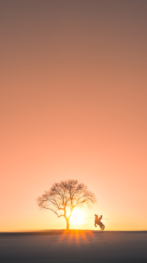 霍勒迪手术刀式连续切割，森林狼客场凌厉收割胜利