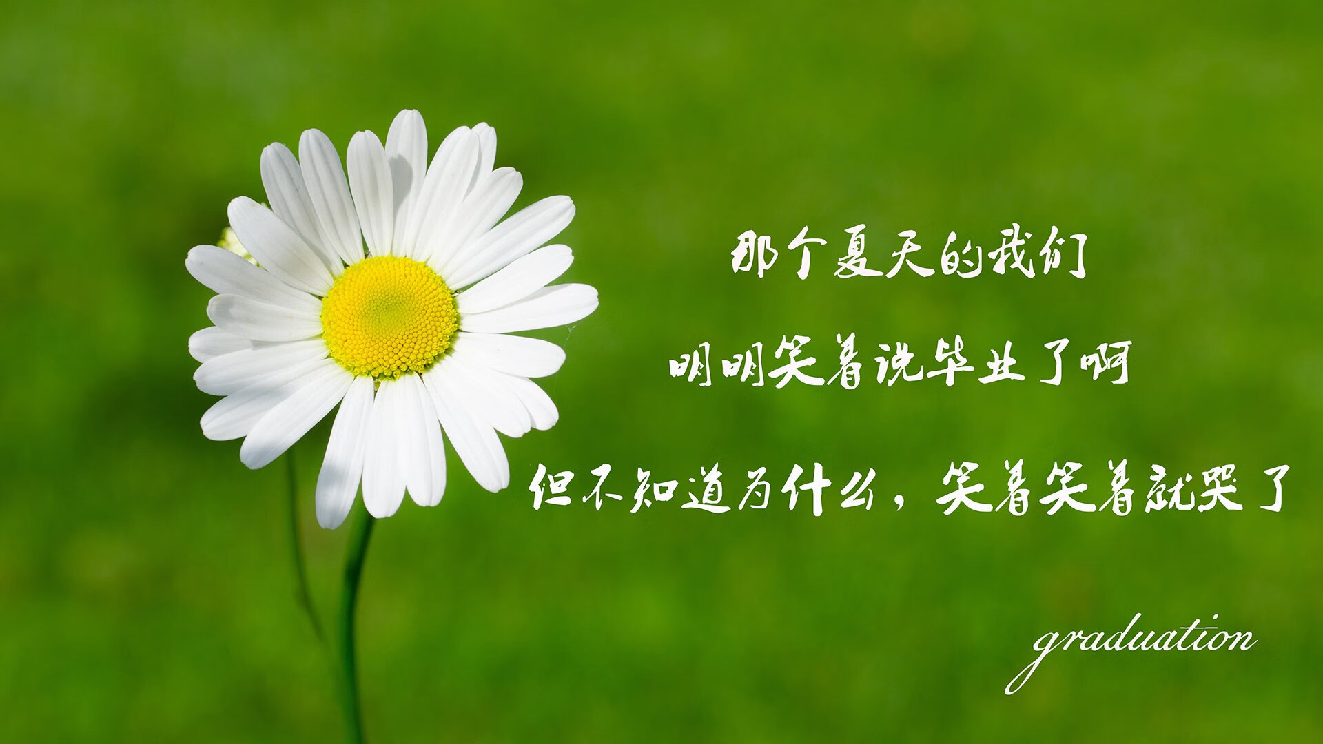 蓝武士的孤独加冕，2026世界杯C组，当日本完胜喀麦隆，苏亚雷斯用最后一舞抢走所有目光