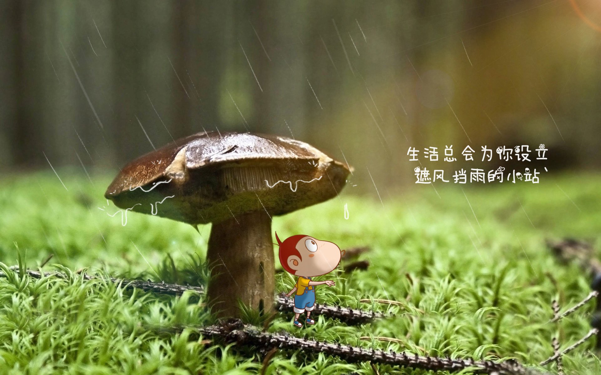独耀之夜,登贝莱的魔术,喀麦隆在世界杯争冠战焦点战中的不朽胜利