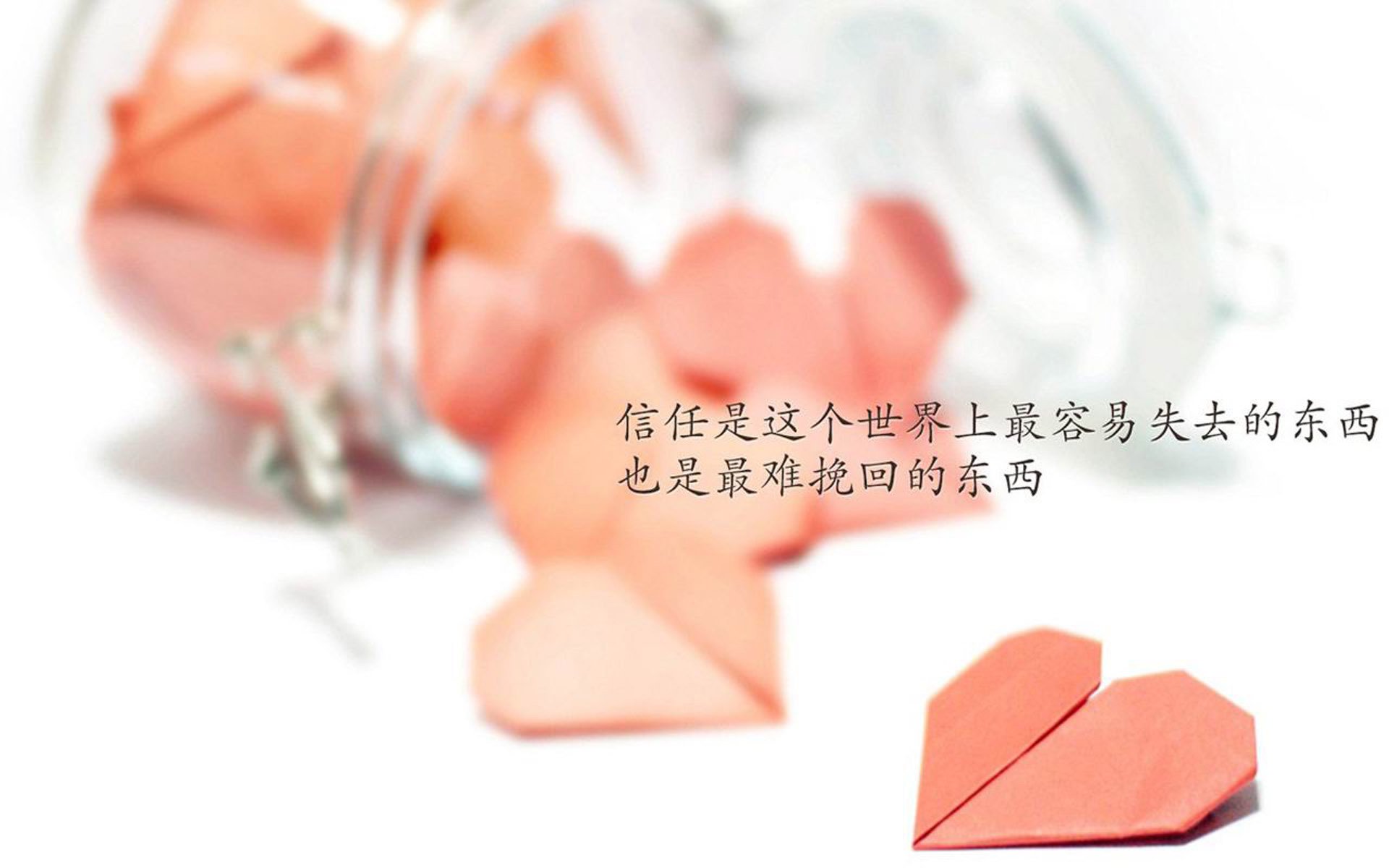 一剑封喉,佩德里致命一击背后的荷兰战术革命,2026世界杯八分之一决赛的临场博弈完美范本