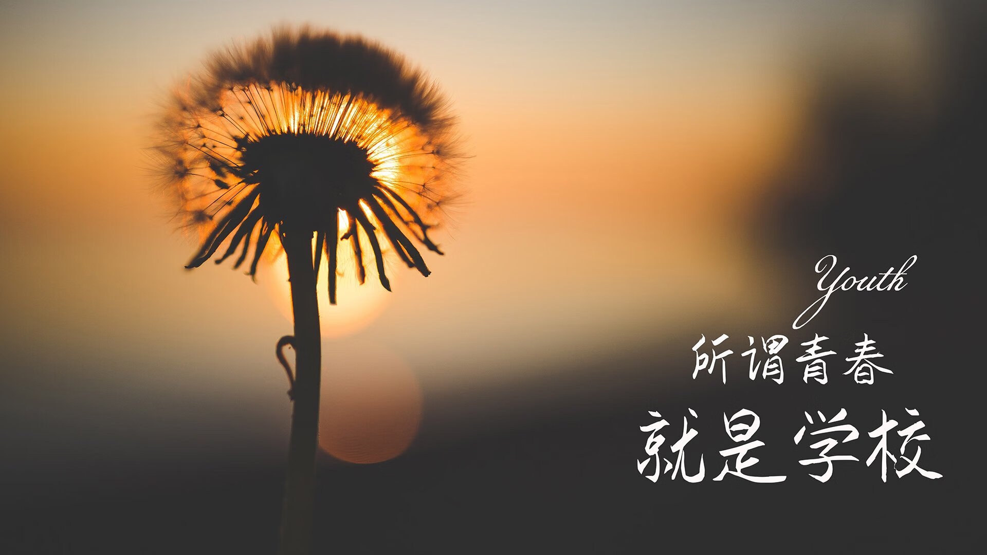 第93分钟的闪电，匈牙利如何用完美攻守转换刺穿德意志战车