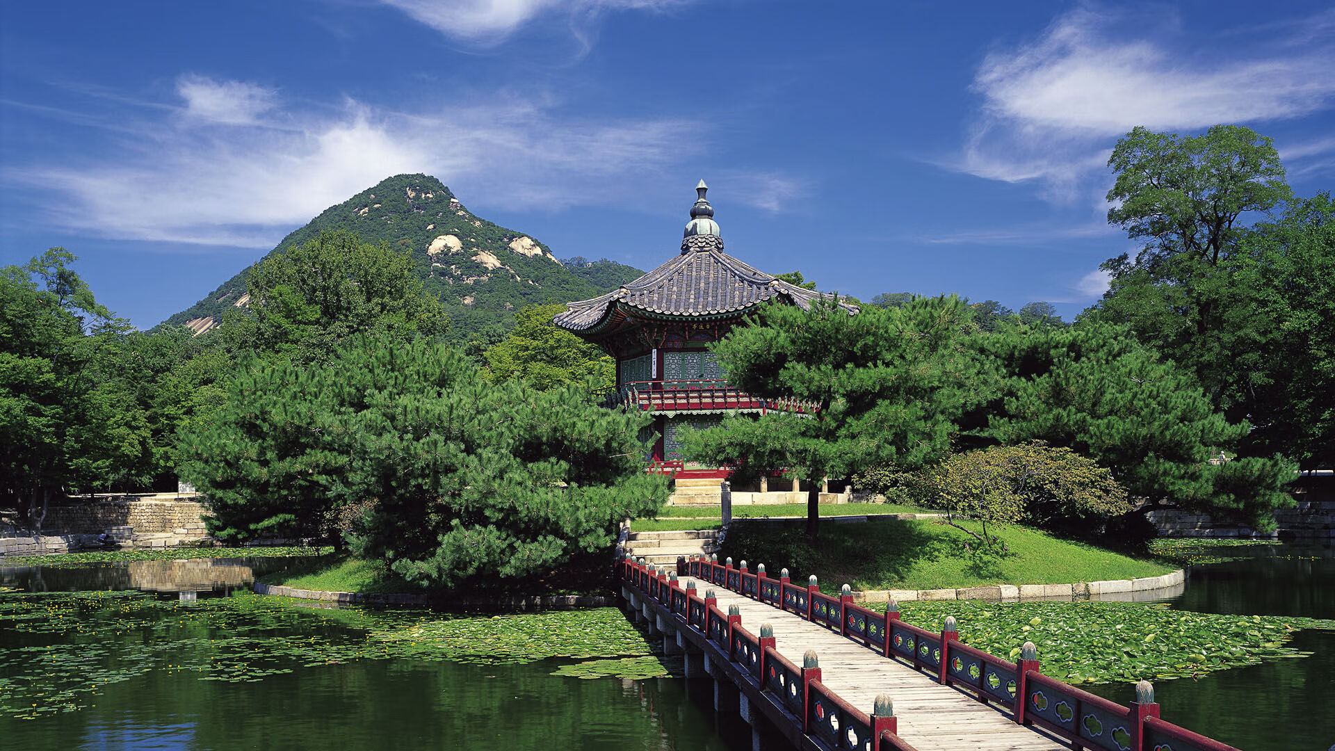 宿命的窄门,2026世界杯F组生死战,比利时绝杀德国,萨卡扛起三狮暗夜的孤星
