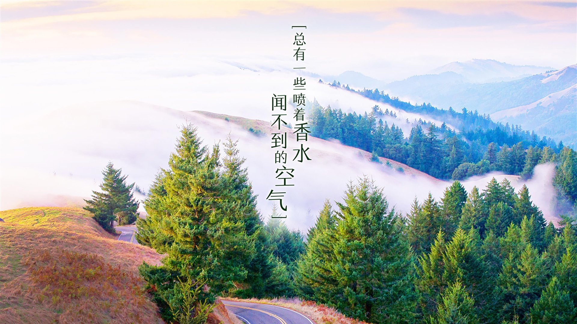 宿命的窄门,2026世界杯F组生死战,比利时绝杀德国,萨卡扛起三狮暗夜的孤星