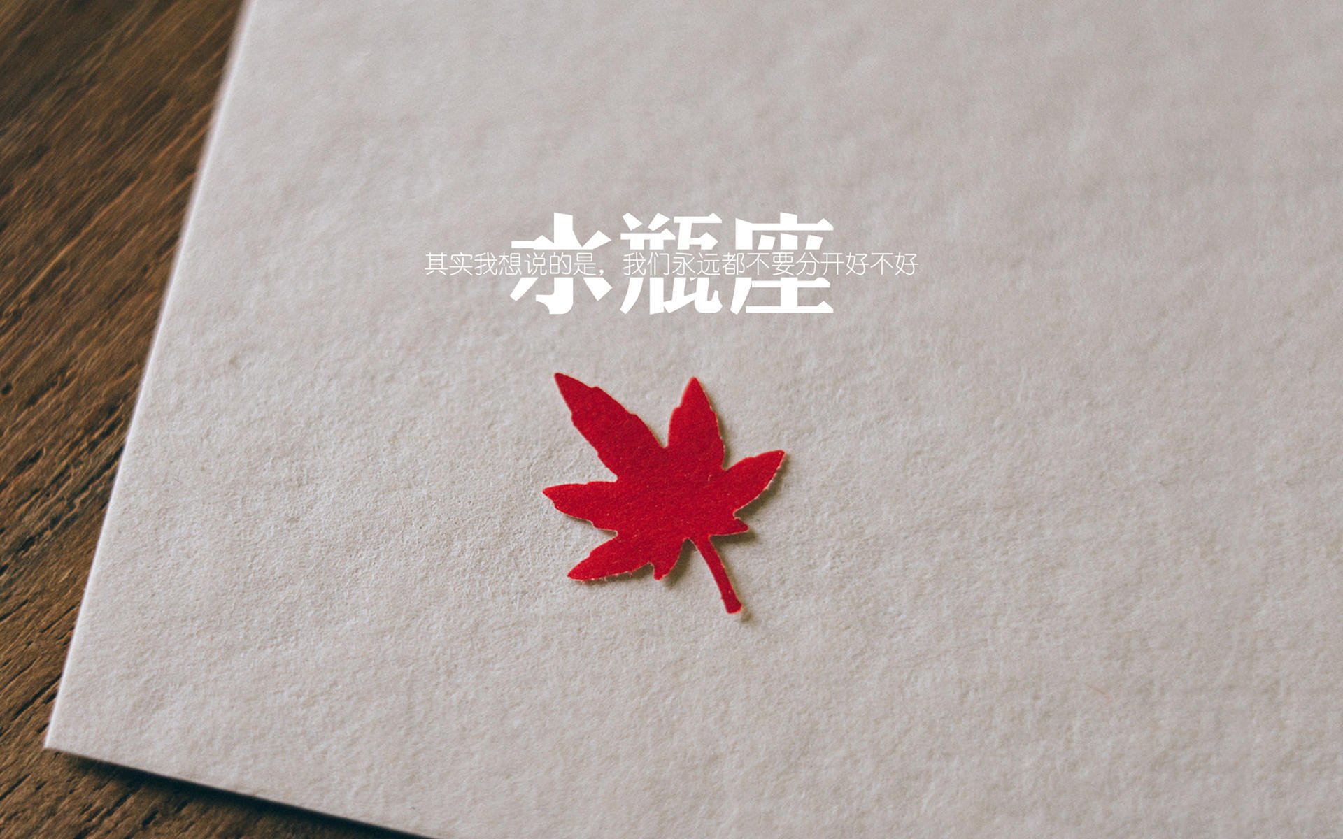 蓝白红之外的独白,2026世界杯A组,当哥伦比亚的钢铁防线遇见福登的致命一击