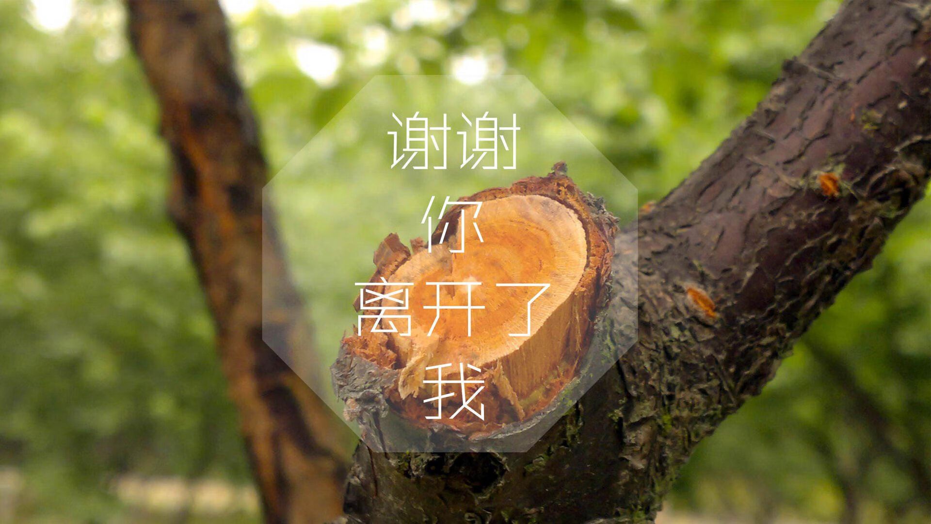 爱游戏娱乐-萨内之光与奥地利铁壁，2026世界杯唯一不可复制的豪门对话